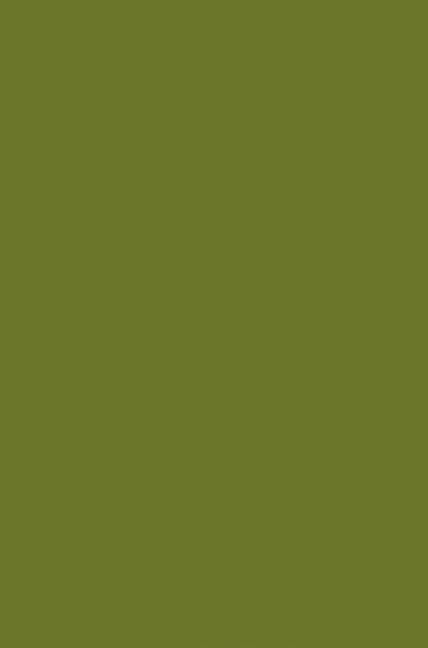 panerabread_140_1 Background