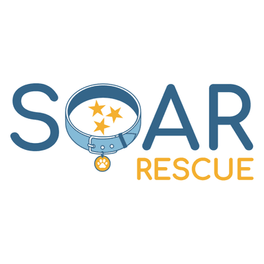SOAR rescue's Avatar