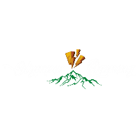 Olympus Gaming's Avatar