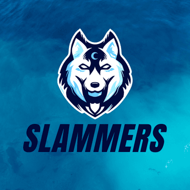 team.slammers's Avatar
