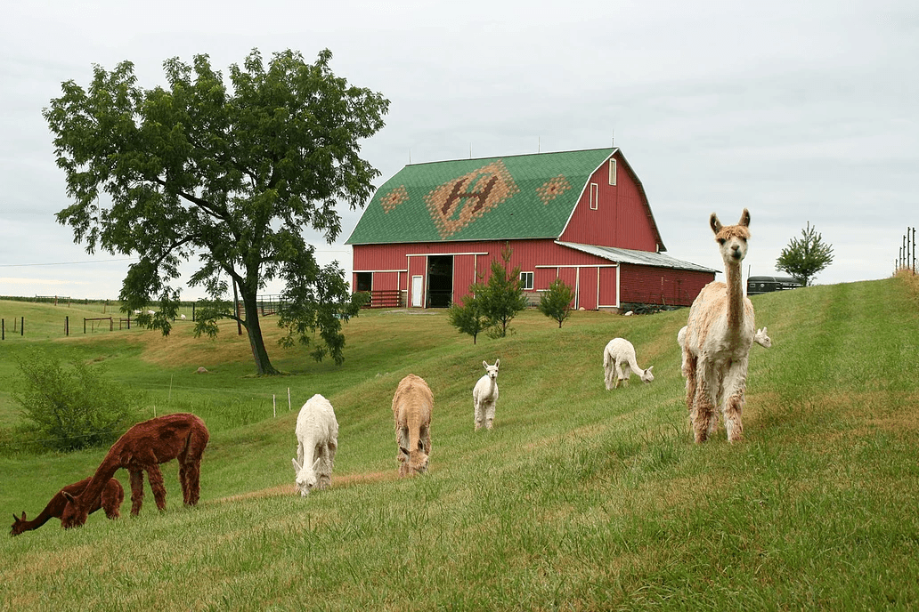 Heritage Farm Guests