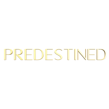 THE PREDESTINED SERIES's Avatar