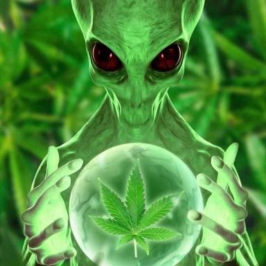 Alien 👽 UFO Sightings's Avatar