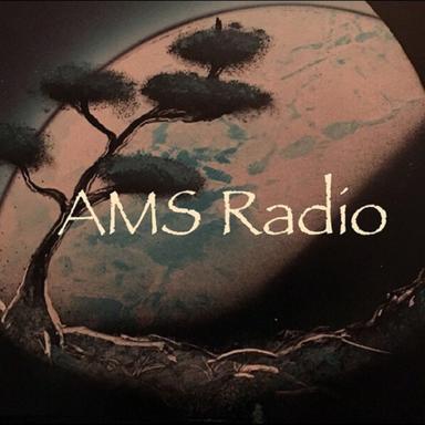 Audio Mirage Studios (amsradio.com)'s Avatar