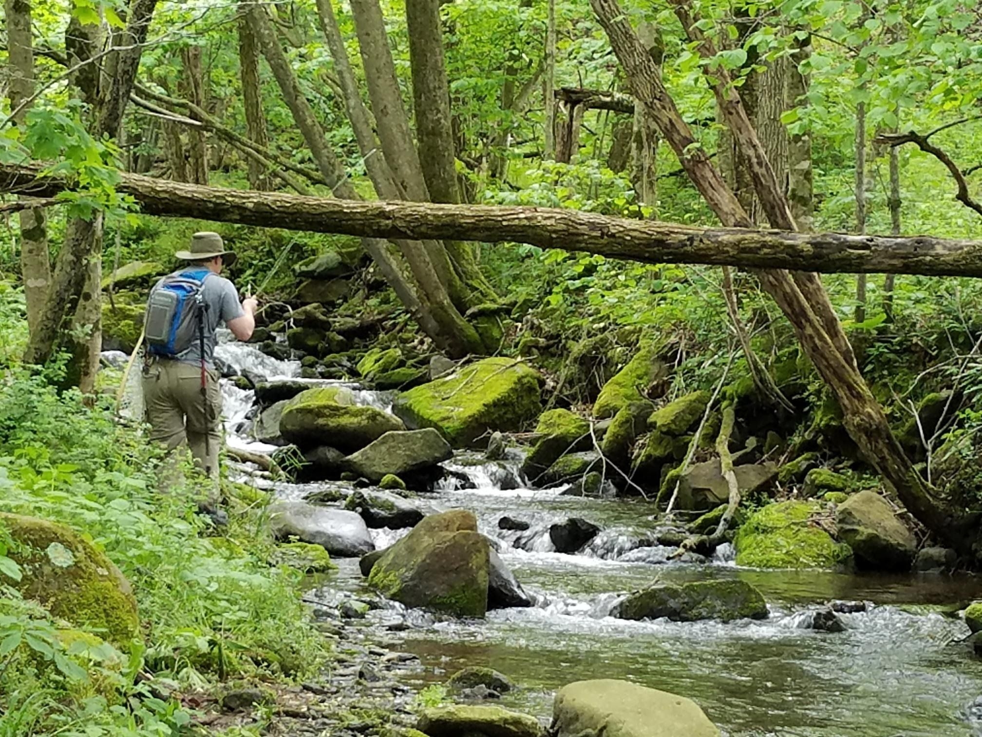OVERMOUNTAIN CHAPTER TROUT UNLIMITED