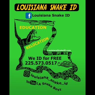 Louisiana Snake ID's Avatar