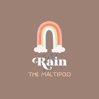 Rain The Maltipoo 's Avatar