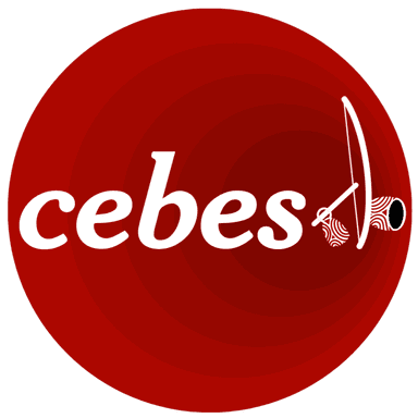 CEBES BA's Avatar