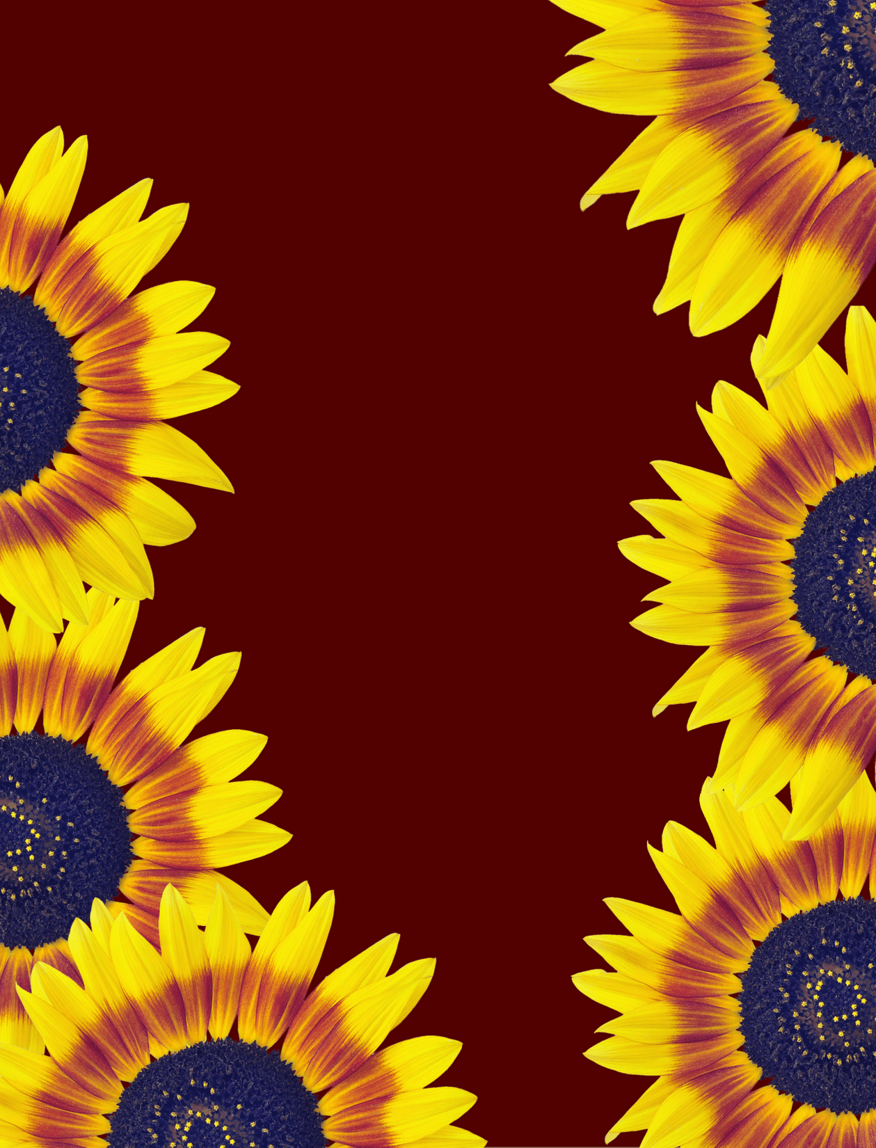 SunflowerTarotCo