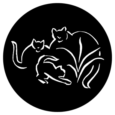 The Cat Garden Rescue's Avatar
