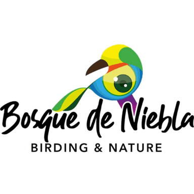 Bosque de Niebla Birding & Nature's Avatar