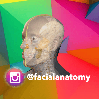 Facial Anatomy - IFDS Miami's Avatar