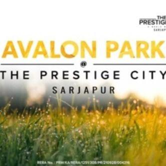 Prestige Avalon Park's Avatar