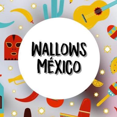 Wallows México's Avatar