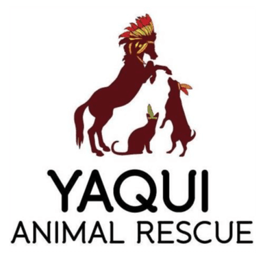 Yaqui Animal Rescue's Avatar