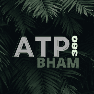 ATP360 BHAM's Avatar