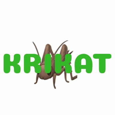 Lil Krikat 's Avatar