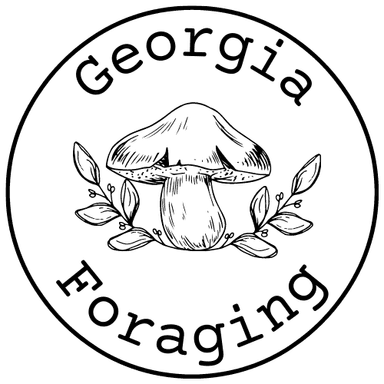 Georgia Foraging's Avatar