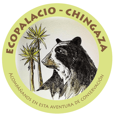 Reserva Ecopalacio Chingaza's Avatar