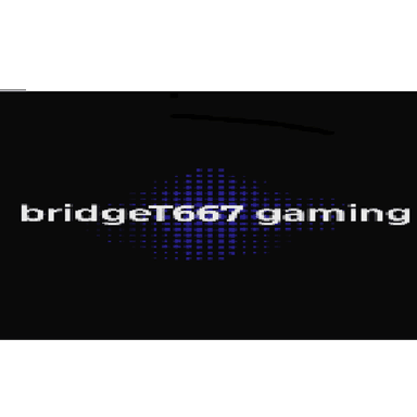 bridgeT667 gaming's Avatar
