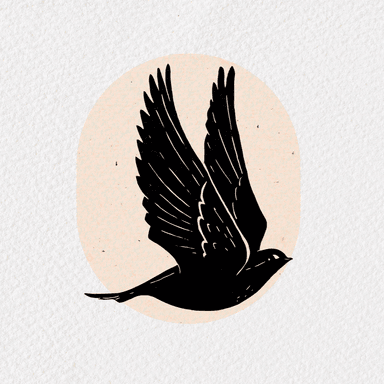 Blackbird | Estúdio Criativo's Avatar