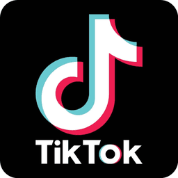 Tiktok Profile