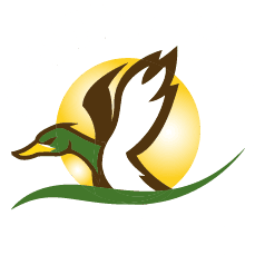 Rocket City Boats's Avatar