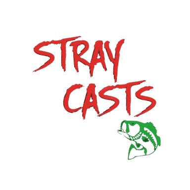 Stray Casts TV's Avatar