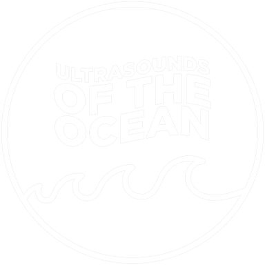 Ultrasounds of the Ocean's Avatar