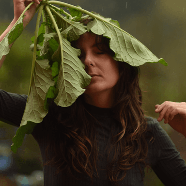 Janela Verde Fotografia's Avatar